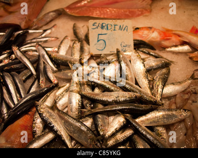 Sardine in mercato La Boqueria, Barcellona Foto Stock