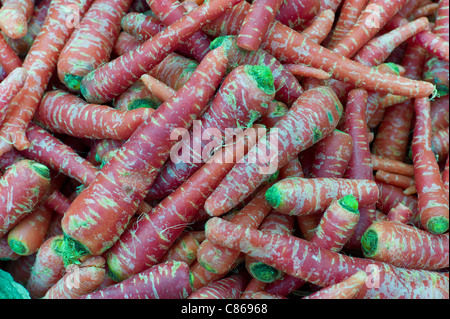 La Vecchia Delhi, Daryagang mercato di frutta e verdura con carote rosse sulla vendita, India Foto Stock