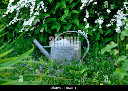 Lo zinco annaffiatoio in giardino percorso. Foto Stock