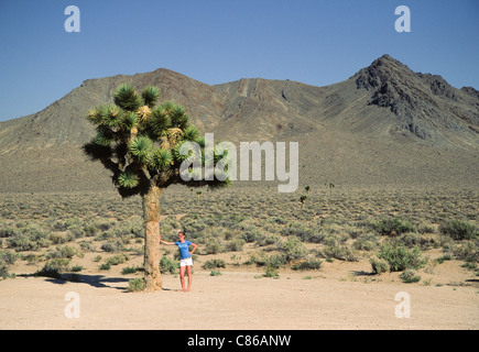 Joshua Tree e giovane ragazza, Valle della Morte Foto Stock