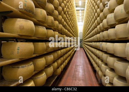 Formaggi stagionatura in magazzino freddo presso il caseificio Pennar di Asiago, Veneto, Italia Foto Stock