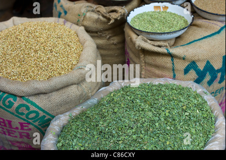 Semi di coriandolo e essiccato Fenugreek lascia in vendita presso Khari Baoli spezie e cibi essiccati mercato, Vecchia Delhi, India Foto Stock