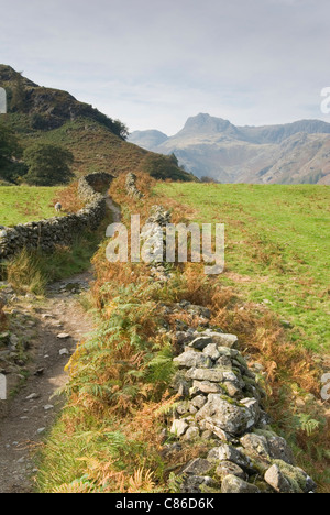 La via che conduce verso il Langdale Pikes Foto Stock