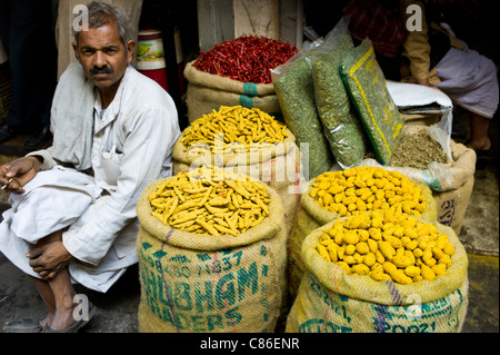 Il giallo curcuma e peperoncino rosso in vendita presso Khari Baoli spezie e cibi essiccati mercato, Vecchia Delhi, India Foto Stock