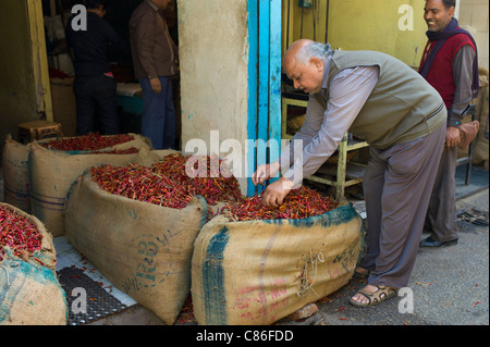 Peperoncini rossi per la vendita a Khari Baoli spezie e cibi essiccati mercato, Vecchia Delhi, India Foto Stock