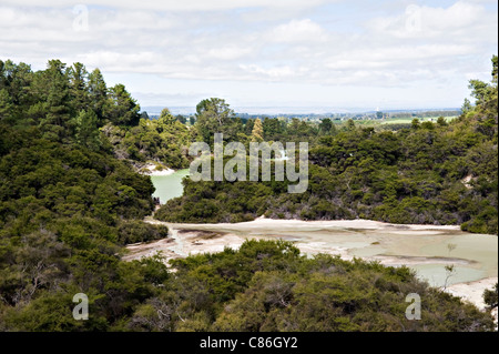 Vista panoramica a Wai-O-Patu Thermal Wonderland Rotorua di foresta Kaingaroa e pianure Isola del nord della Nuova Zelanda NZ Foto Stock