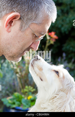 Amore - un uomo e il suo cane una springer spaniel Foto Stock