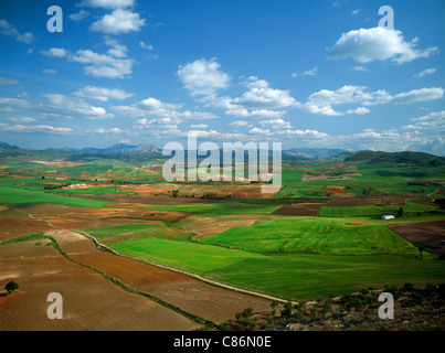 Campi colorati e terreni coltivati in Catalunya e Aragona province vicino Pirenei in Spagna Foto Stock