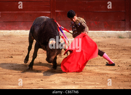 Bull attaccando red cape e matador durante la corrida Foto Stock