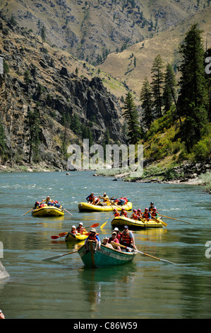 La gomma barche a remi, marcia barca, Dory e kayak gonfiabili con il gruppo O.A.R.S. sul principale fiume di salmone in Idaho Foto Stock