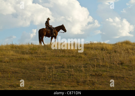 Lone cowboy seduti su un cavallo scuro su una collina erbosa in Sud Dakota Foto Stock