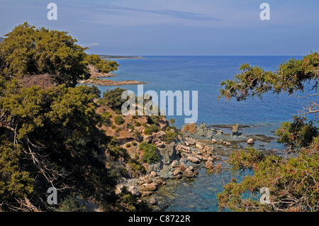 Il selvaggio e robusto litorale nord della penisola di Akamas in Cipro Foto Stock