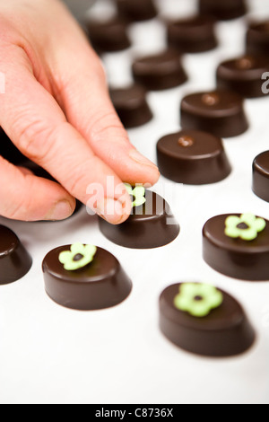 Cioccolatini, panificio negozio, Toronto, Ontario, Canada Foto Stock