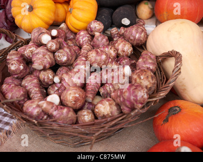 Topinambur, Beaune Farmers Market, Beaune, Cote-d'Or, Borgogna, Francia Foto Stock