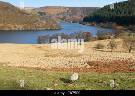 Serbatoio PenyGarreg, Elan Valley Wales UK. Foto Stock