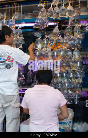 Il pesce per la vendita in sacchetti di plastica, il Goldfish Market, Kowloon Foto Stock