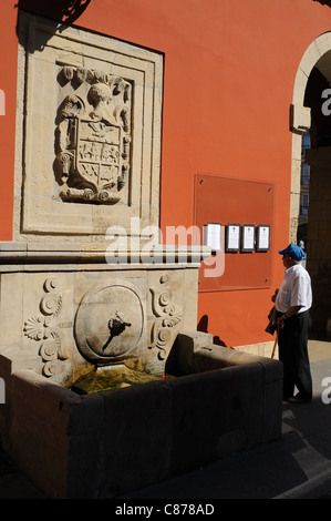 Font ' De la Fruta street ' ( Martinete de Villalegre- stemma ) in AVILÉS . Principado de Asturias . Spagna Foto Stock