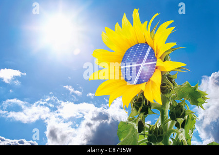 Germania, girasole con pannello solare contro il cielo blu con Sun Foto Stock