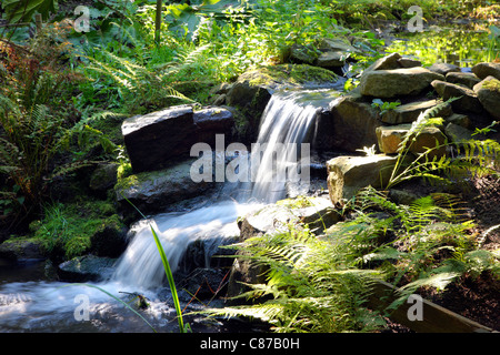 Little Creek in una foresta. Bochum, Germania. Foto Stock