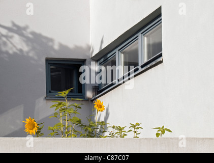 Dettagli architettonici, casa di Hans Scharoun a Weissenhof Station Wagon (Weissenhofsiedlung), Stoccarda, Germania Foto Stock