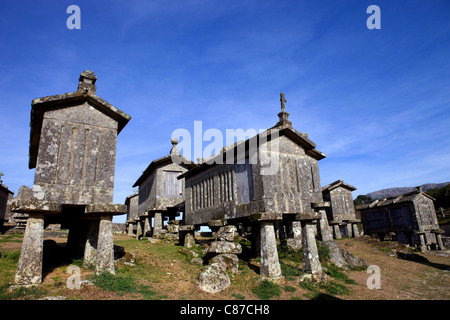 Tipica pietra essiccatoi del mais, chiamato Espigueiros Lindoso nel nord del Portogallo. Foto Stock