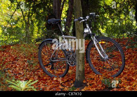 Una bicicletta appoggiata contro l'albero su un letto di foglie di autunno Foto Stock