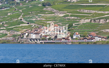 I vigneti si aggrappano alla collina sopra Saint Saphorin sul Lago di Ginevra come un intercity express treno passa da. Foto Stock