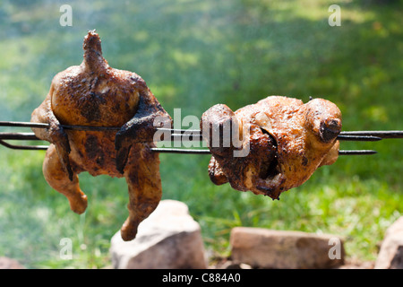 Dettaglio di due interi grigliate di polli. Foto Stock