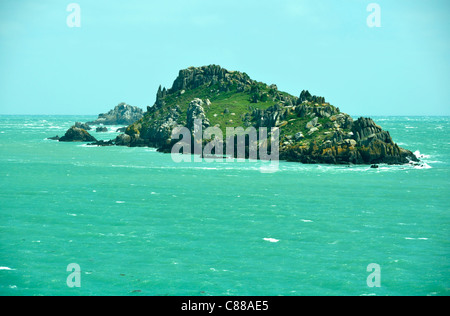 L'isola di Landes (L'île des Landes) è un santuario degli uccelli e botanico. Pointe du Grouin, Cancale, Brittany, Francia. Foto Stock