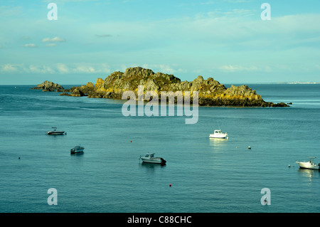 L'isola di Landes (L'île des Landes) è un santuario degli uccelli e botanico. Pointe du Grouin, Cancale, Brittany, Francia. Foto Stock