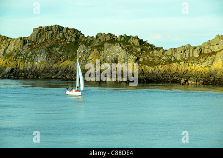 L'isola di Landes (L'île des Landes) è un santuario degli uccelli e botanico. Pointe du Grouin, Cancale, Brittany, Francia. Foto Stock