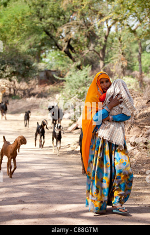Indian abitante leader di allevamento di capre nel villaggio nei pressi di Ranthambore in Rajasthan, India settentrionale Foto Stock