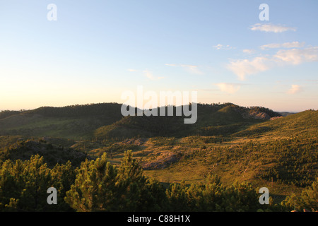 Black Hills nel Custer State Park nel Sud Dakota all'alba Foto Stock