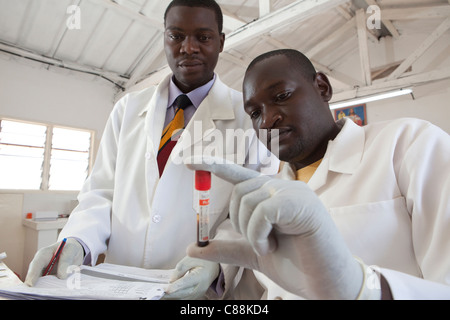 Tecnici di laboratorio test di campioni di sangue di pazienti con infezione da HIV in un ospedale di Luanshya, Zambia. Foto Stock