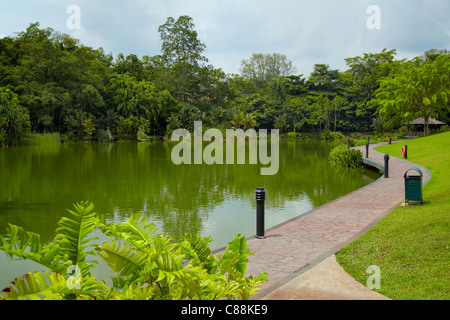 Lago di symphony, Singapore Botanic Gardens Foto Stock