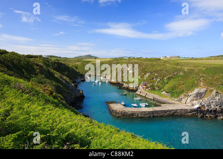 Porto Porthclais St Brides Bay Pembrokeshire Wales Foto Stock