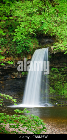 Sgwd Gwladys o lady cade Afon Pyrddin vicino Pontneddfechan Brecon Beacons Powys Galles Foto Stock