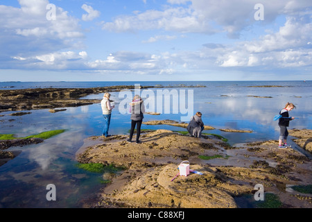 Seahouses, Northumberland Coast, Inghilterra. La famiglia in piscine di roccia. Foto Stock