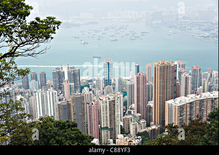 Vista panoramica dell'Isola di Hong Kong grattacieli dal picco a piedi e il Victoria Peak Garden Hong Kong Cina Asia Foto Stock