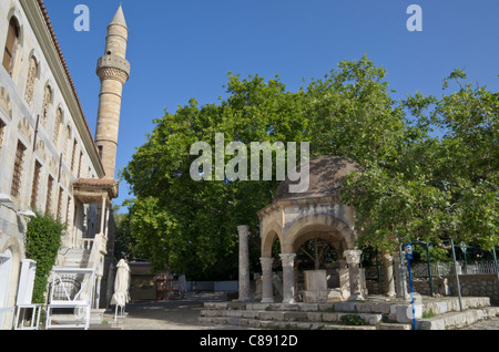 La struttura ad albero di Ippocrate e Loggia moschea in Plateia Platanou, la città di Kos, Kos, Grecia Foto Stock