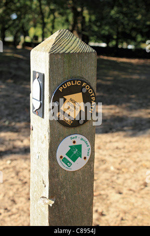 Sentiero pubblico sulla North Downs e modo auto guidate Sentiero segni a St Martha's Hill. Guildford Surrey England Regno Unito. Foto Stock