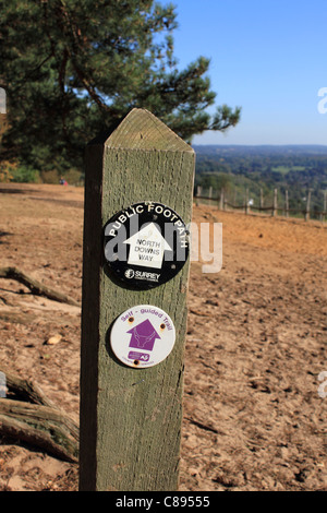 Sentiero pubblico sulla North Downs e modo auto guidate Sentiero segni a St Martha's Hill. Guildford Surrey England Regno Unito. Foto Stock