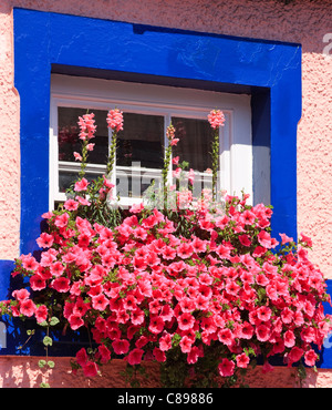 Vetro colorato box Fishguard Pembrokeshire Wales Foto Stock