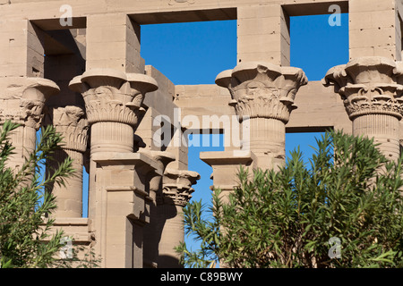 Colonna tops in chiosco dell'imperatore Traiano,Tempio di Iside a Philae, Aglika Island Aswan Alto Egitto Foto Stock