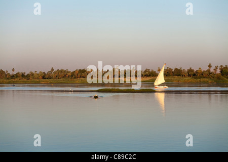Nilo felluca vela da destra a sinistra riflessa su acque calme con palmo rivestito sponda del Nilo dietro con una piccola barca da pesca nella parte anteriore Foto Stock