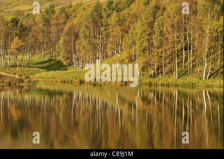 Glen Clova Autunno colori riflessi in Loch Heath Foto Stock