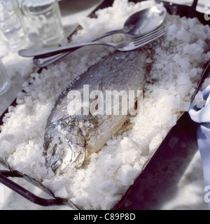 Salate Orate di mare Foto Stock