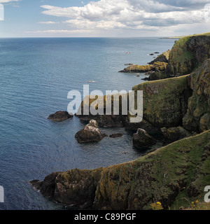 St ABB's Head, Berwickshire Coast, Scozia, Regno Unito Foto Stock