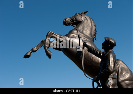 La newmarket stallone, Suffolk, Inghilterra Foto Stock