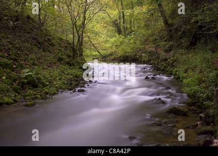 Il fiume Wye in Millers Dale, Derbyshire Foto Stock